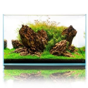 Akvaryum Tasarımları