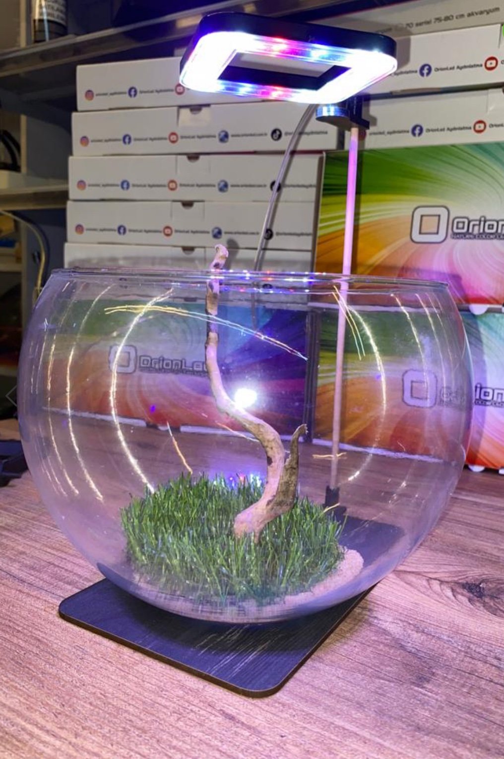 OrionLed 5 v 7w Fanus Aydınlatma & Teraryum Aydınlatma & Nano Akvaryum Led Aydınlatma – Kare