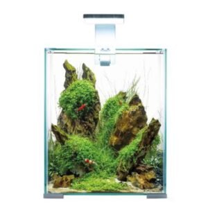 Aquael Shrimp Set Day and Night 20 Karides Akvaryumu