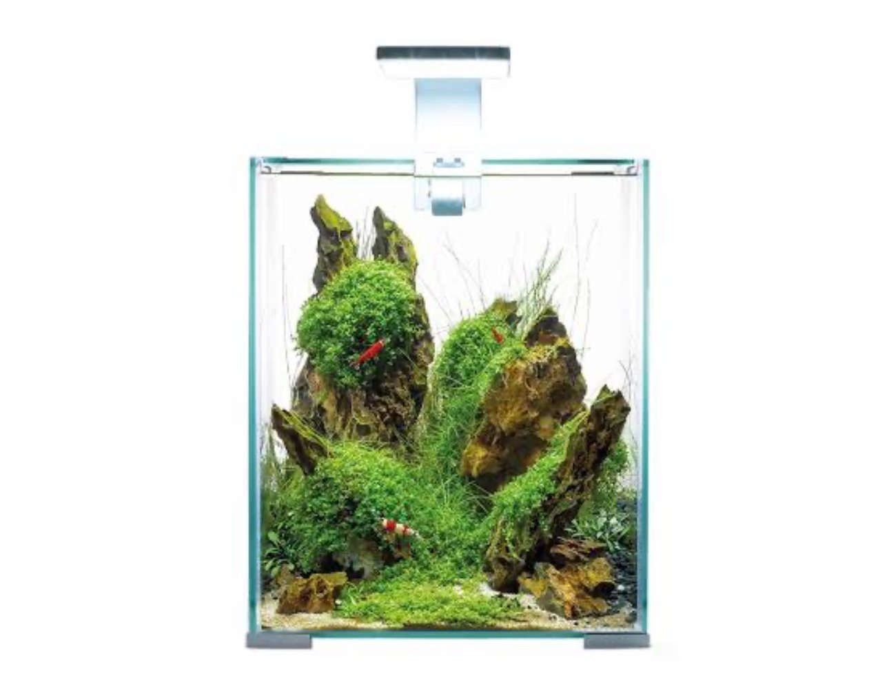 Aquael Shrimp Set Day and Night 20 Karides Akvaryumu