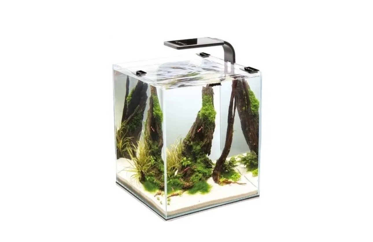 Aquael Shrimp Set Day and Night 20 Karides Akvaryumu - Görsel 2