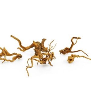 Red Moor Wood Yatı Kökü